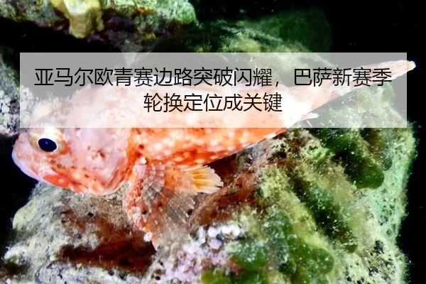 ya-ma-er-ou-qing-sai-bian-lu-tu-po-shan-yao-ba-sa-xin-sai-ji-lun-huan-ding-wei-cheng-guan-jian-2-796.jpg