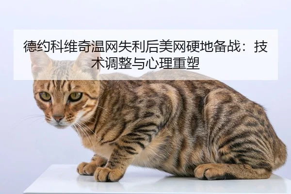 德约科维奇温网失利后美网硬地备战：技术调整与心理重塑