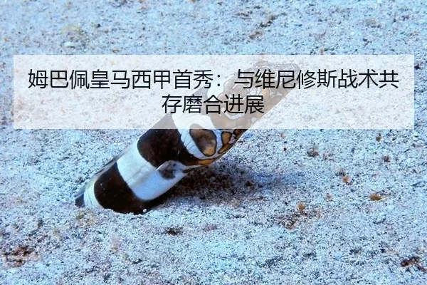 mu-ba-pei-huang-ma-xi-jia-shou-xiu-yu-wei-ni-xiu-si-zhan-shu-gong-cun-mo-he-jin-zhan-3-145.jpg