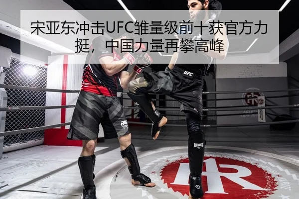 宋亚东冲击UFC雏量级前十获官方力挺，中国力量再攀高峰